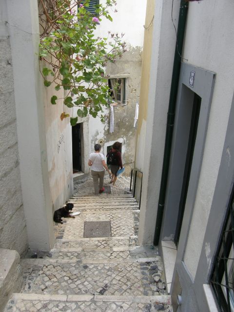 Lisbon: Alfama and São Jorge Castle Quarters Walking Tour - Alleys, patios, and the old Jewish Quarter