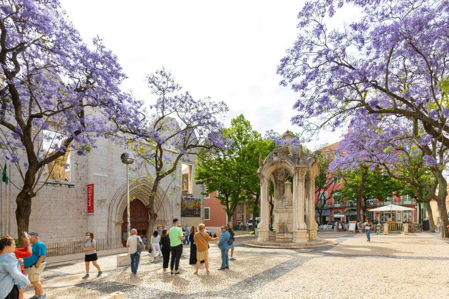Lisbon: History, Stories and Lifestyle Walking Tour - Alfama, Lisbon’s oldest traditional quarter