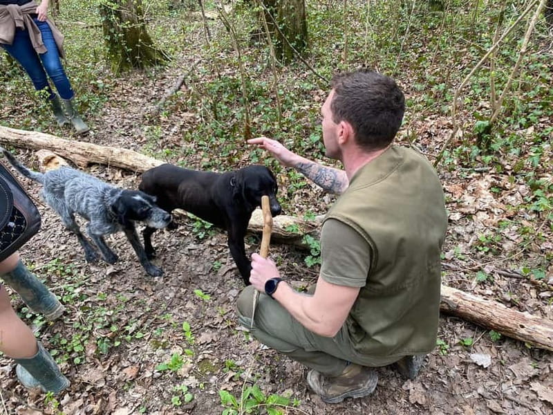 Livade: Guided Truffle Hunting Walking Tour - Key points at a glance