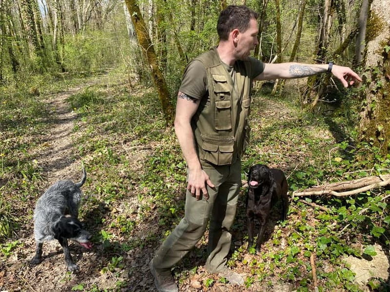 Livade: Guided Truffle Hunting Walking Tour - Adding the 25 EUR truffle lunch