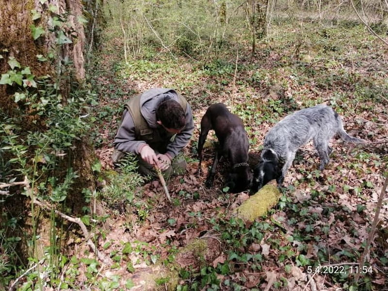 Livade: Guided Truffle Hunting Walking Tour - Who will enjoy this walk most