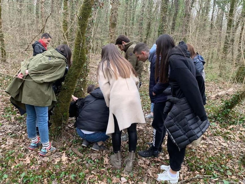 Livade: Guided Truffle Hunting Walking Tour - Into the Motovun forest with Archie and Zora