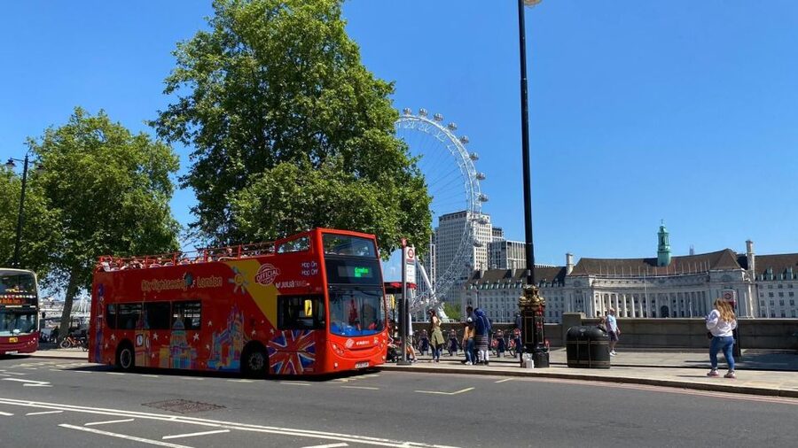 London: Harry Potter Walk, Hop-on Hop-off Bus Tour & Cruise - Who should book this London combination?