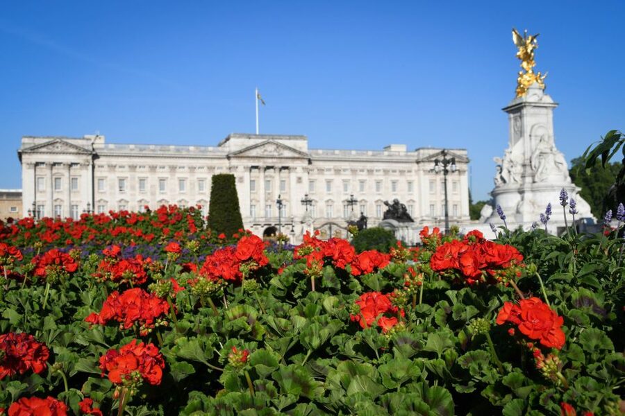 London: Palaces and Parliament Walking Tour - Whitehall, Downing Street, and the working government
