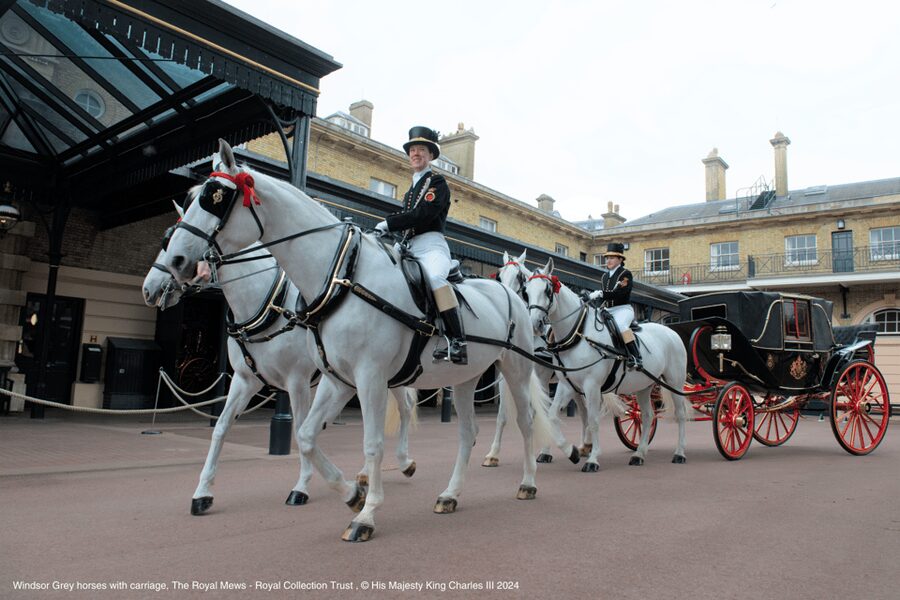 London: Royal Walking Tour with Guard Change & Royal Mews - St. James’s Park and Wellington Barracks