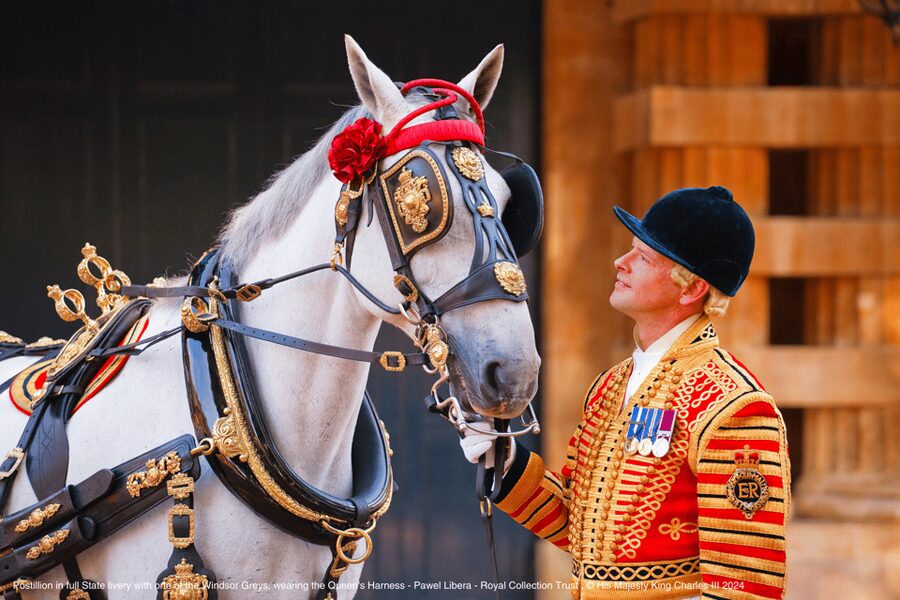 London: Royal Walking Tour with Guard Change & Royal Mews - Practical advice for a smoother visit