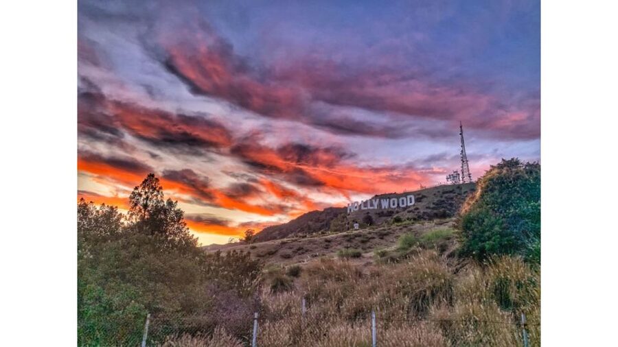 Los Angeles: Hollywood Sign Walking and Pictures Tour - Water, heat, and the practical side of the hike
