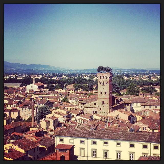 Lucca: 2-Hour City Center Walking Tour - Via Fillungo, Lucca’s Main Shopping Street