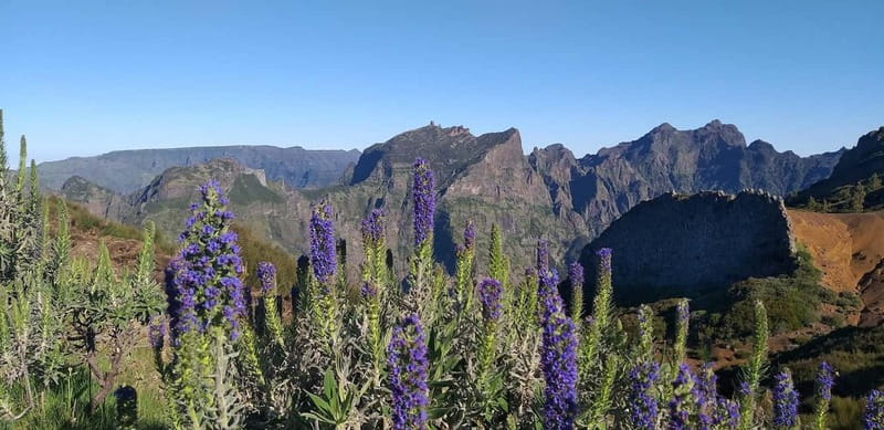 Madeira East Island Tour and Levada Walk - Pico do Arieiro, Madeira’s high mountain viewpoint