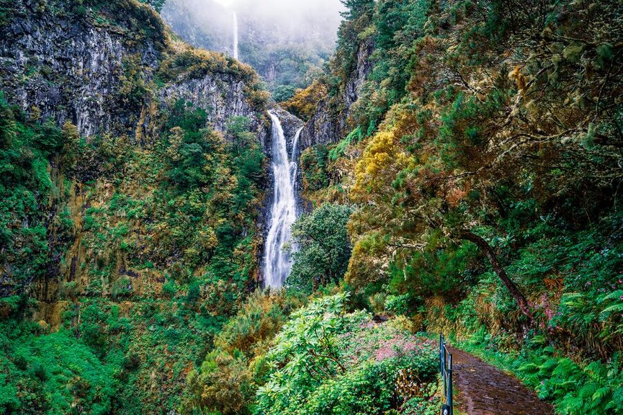Madeira: Enjoy a Guided Levada Walk in the Rabaçal Valley - Walking the levada channels