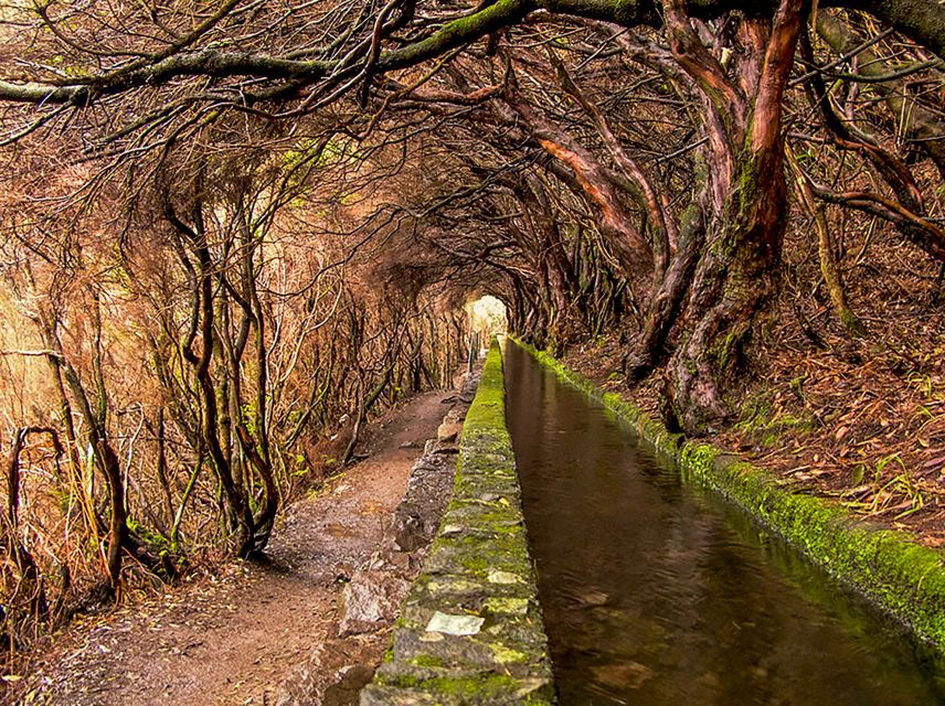 Madeira: Enjoy a Guided Levada Walk in the Rabaçal Valley - The 25 Fontes lagoon