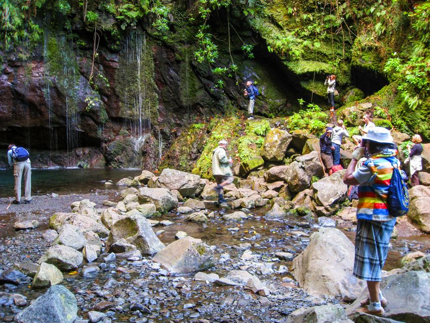 Madeira: Enjoy a Guided Levada Walk in the Rabaçal Valley - The guides make the difference