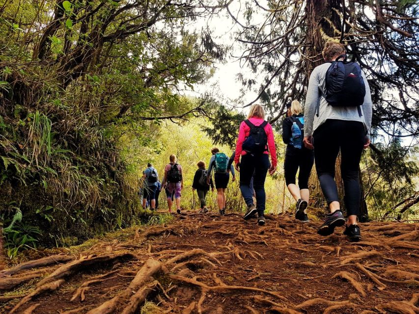 Madeira Island: Caldeirão Verde Levada Walk - What to pack for a better day