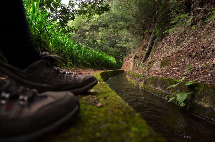 Madeira Island: Caldeirão Verde Levada Walk - Why this levada walk is worth your day