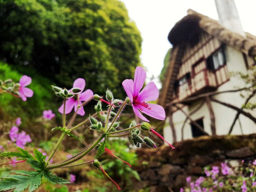 Madeira Island: Caldeirão Verde Levada Walk - Starting beside the thatched house