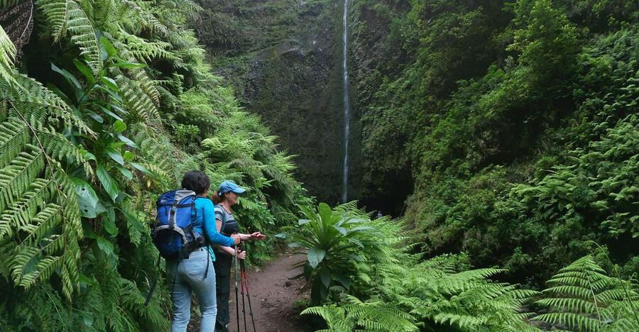 Madeira Island: Caldeirão Verde Levada Walk - The trail beside the levada