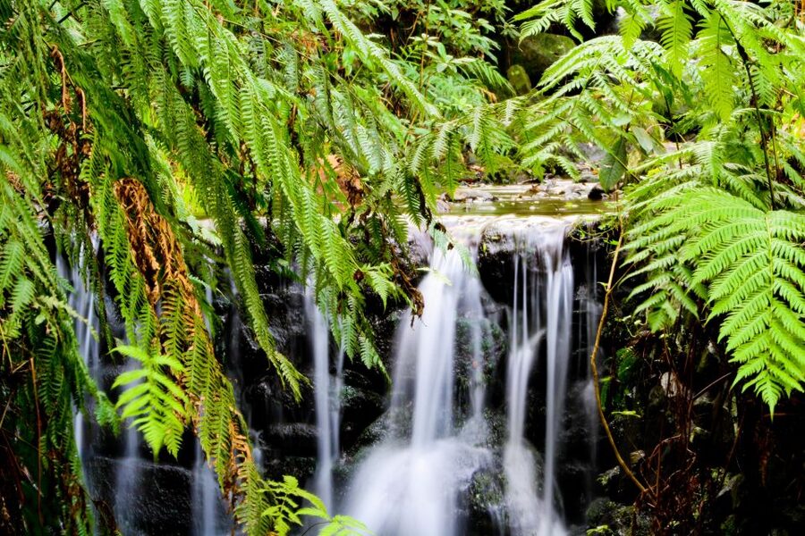 Madeira Island: Caldeirão Verde Levada Walk - Four tunnels through volcanic rock