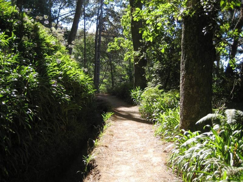 Madeira: Paradise Valley Levada Walk - Key points at a glance