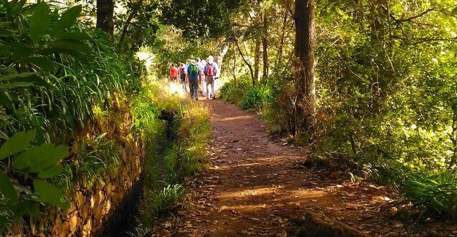 Madeira: Paradise Valley Levada Walk - Following Madeira’s old water channel