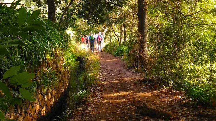 Madeira: Paradise Valley Levada Walk - Gardens, farms, and terraces