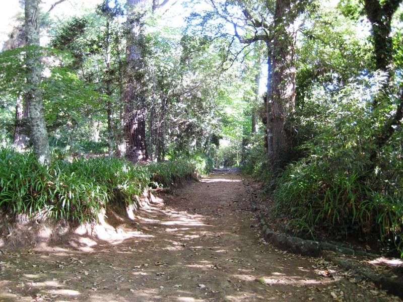 Madeira: Paradise Valley Levada Walk - How the $38 price works for you