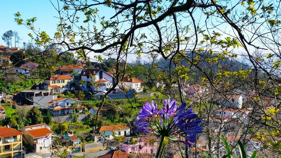 Madeira: Paradise Valley Levada Walk - Weather, clothing, and pickup details
