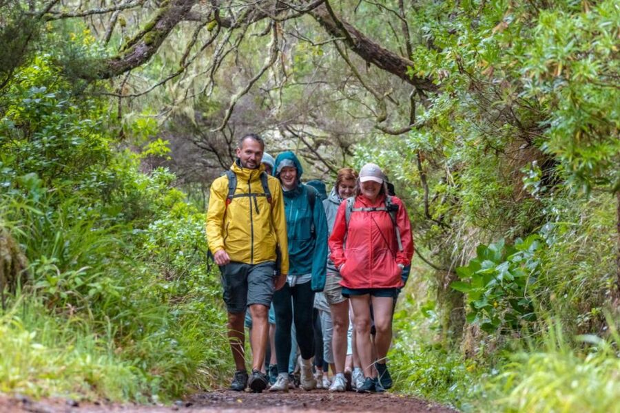 Madeira: Rabaçal 25 Fountains Levada Walk & Cabo Girão - Weather, footwear, and physical demands