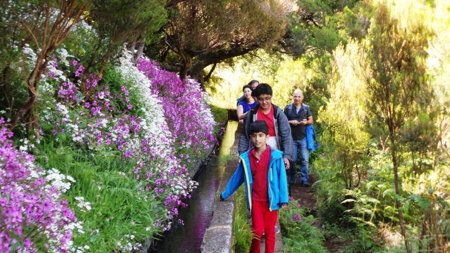 Madeira: Rabaçal 25 Fountains Levada Walk & Cabo Girão - Why this makes a good full-day Madeira outing