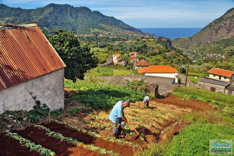 Madeira: Santana Jeep Safari and Referta Levada Walk - Who should book this $72 tour?