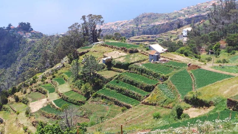 Madeira: Santana Jeep Safari and Referta Levada Walk - Faial and the route toward Santana