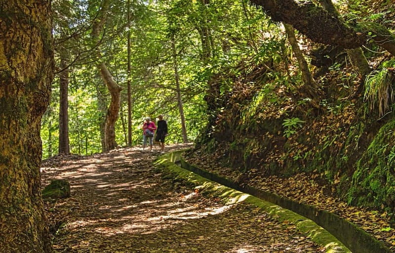 Madeira: Santana Jeep Safari and Referta Levada Walk - Porto da Cruz and Madeira’s rum tradition