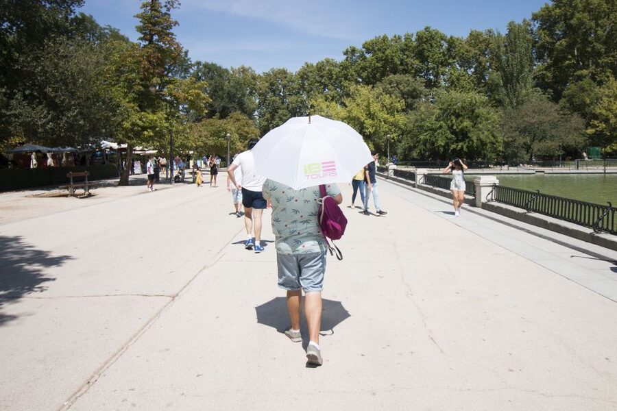 Madrid: 1.5-Hour Retiro Park Guided Walking Tour - My verdict on the Retiro Park guided tour