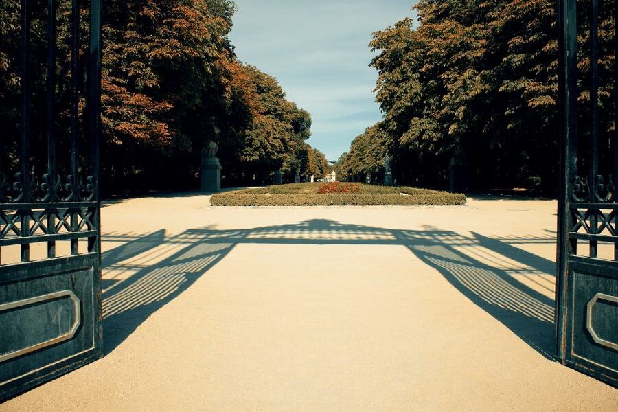 Madrid: 1.5-Hour Retiro Park Guided Walking Tour - What the guides add to the experience