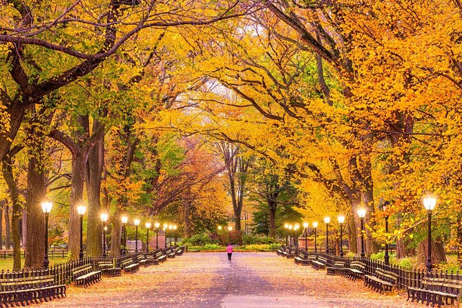 Manhattan Neighborhood Private Customized Walking Tour - Key things to know before booking