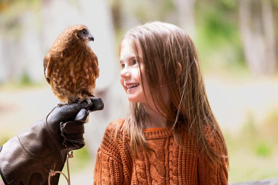 Margaret River: Birds of Prey Encounter and Forest Walk - The owl encounter and the value of a close look