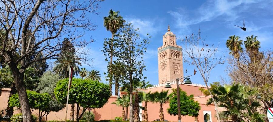 Marrakech 3-Hour Walking Tour - Key points to know before booking