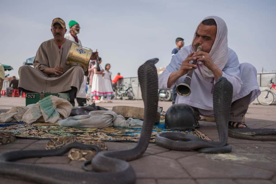 Marrakech: Customized Guided Walking Tour - Key points to know before you book