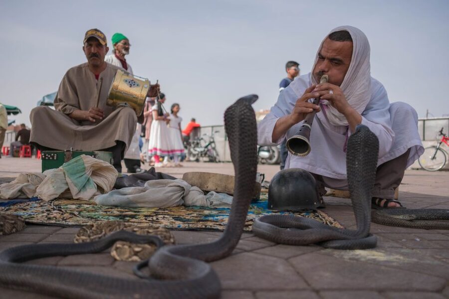 Marrakech: Customized Guided Walking Tour - Koutoubia Mosque and the shape of the city