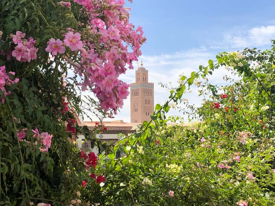 Marrakech: Customized Guided Walking Tour - Menara Gardens and a change of pace
