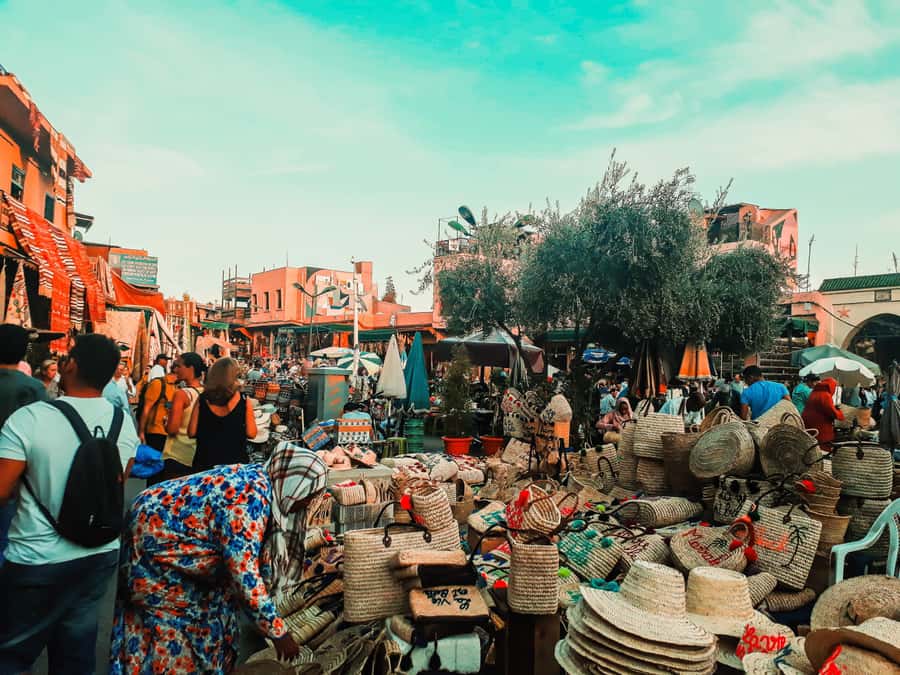 Marrakech: Customized Guided Walking Tour - Quiet neighborhoods, riad terraces, and mint tea