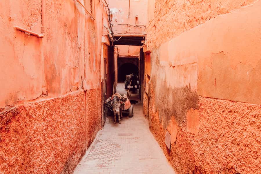 Marrakech: Customized Guided Walking Tour - How the three-hour and six-hour options differ