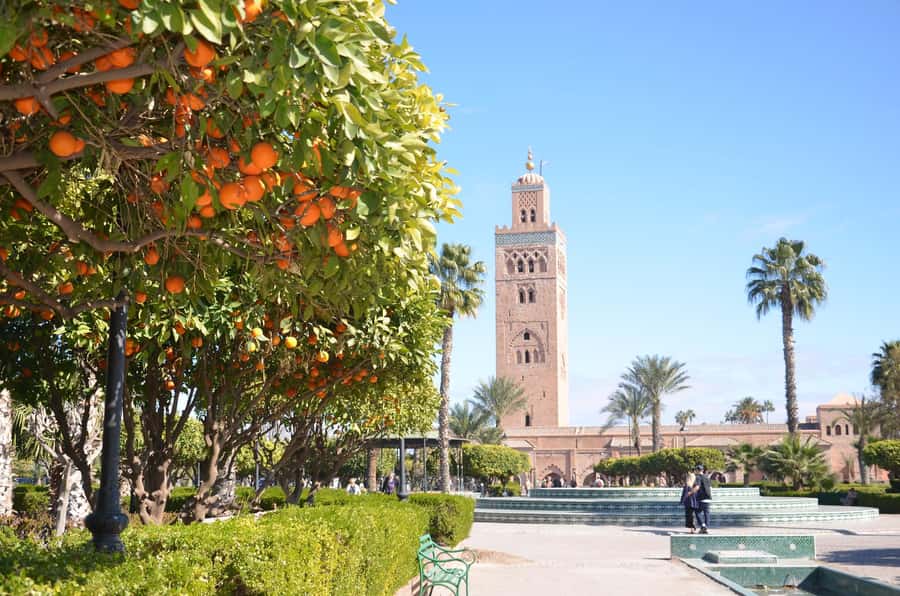 Marrakech: Monuments, Souks and Medina Guided Walking Tour - Walking the Medina with a local guide