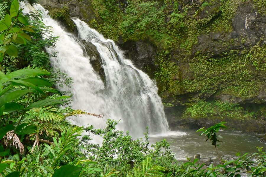 Maui: Guided Rainforest and Waterfall Walk & Swim - Key points to know before you book