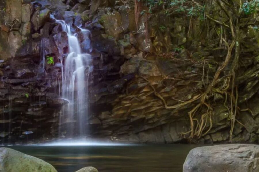 Maui: Guided Rainforest and Waterfall Walk & Swim - Timing, transport, and practical planning