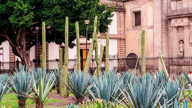 Mexico City: Historic Downtown Walking Tour - The Post Office Building and downtown’s grand style
