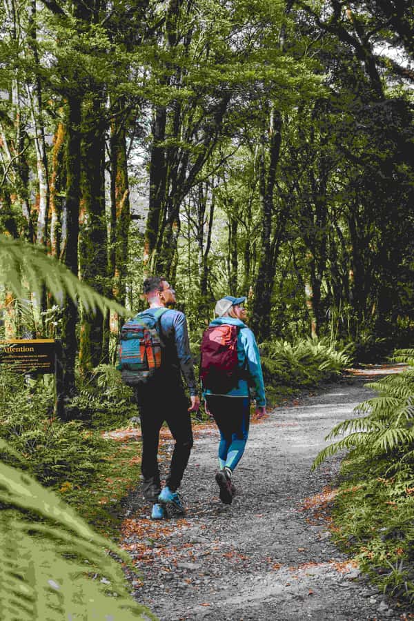 Milford Sound: Nature Cruise & Milford Track Walk - The 10-minute boat ride to Sandfly Point