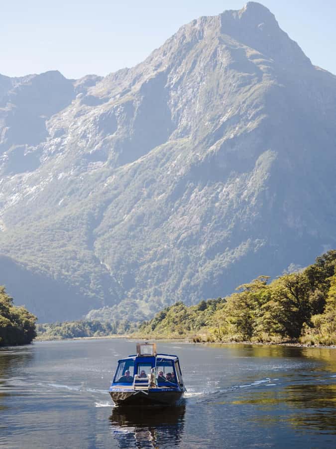 Milford Sound: Nature Cruise & Milford Track Walk - Wildlife, commentary, and what you may see