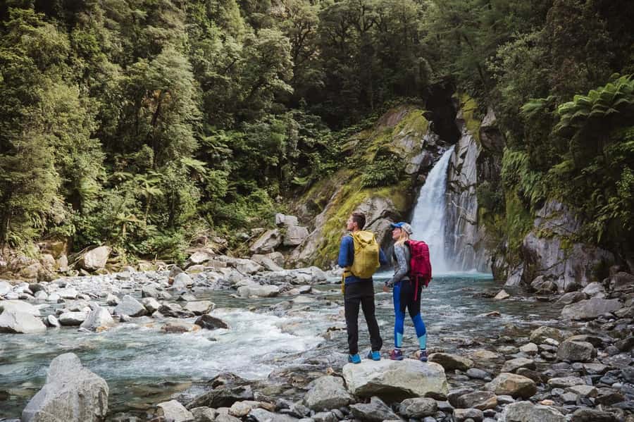 Milford Sound: Nature Cruise & Milford Track Walk - Comfort, food, and weather planning