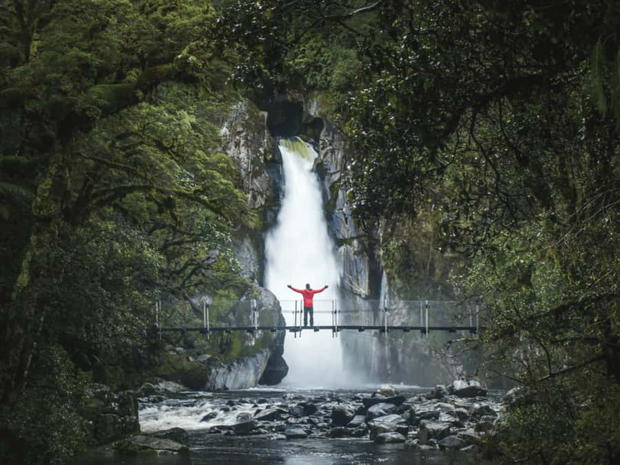 Milford Sound: Nature Cruise & Milford Track Walk - Is $133 good value?
