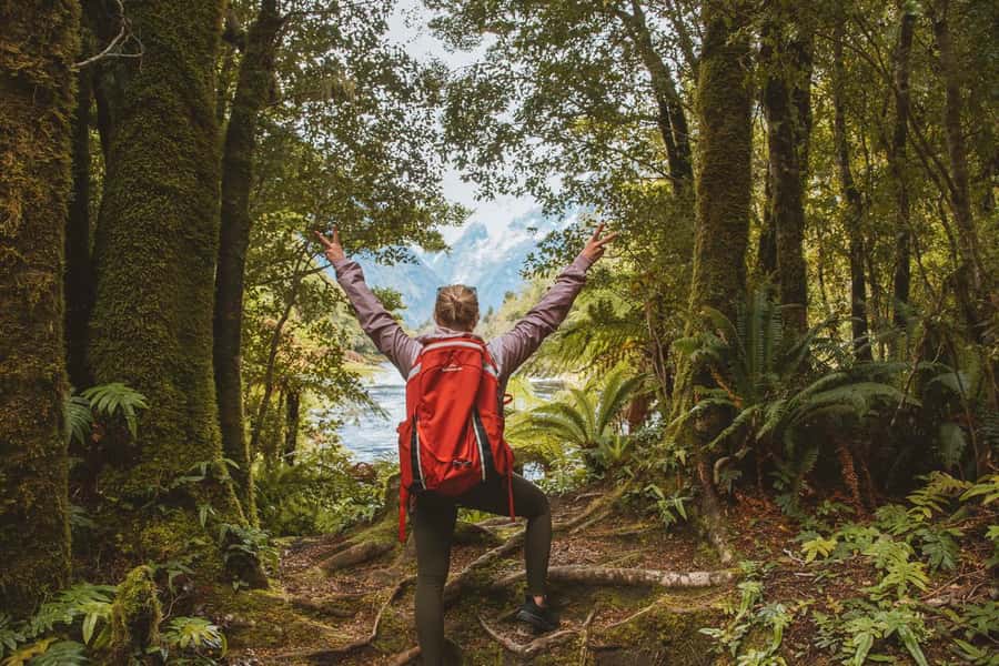 Milford Sound: Nature Cruise & Milford Track Walk - Who should book this Milford Sound day?